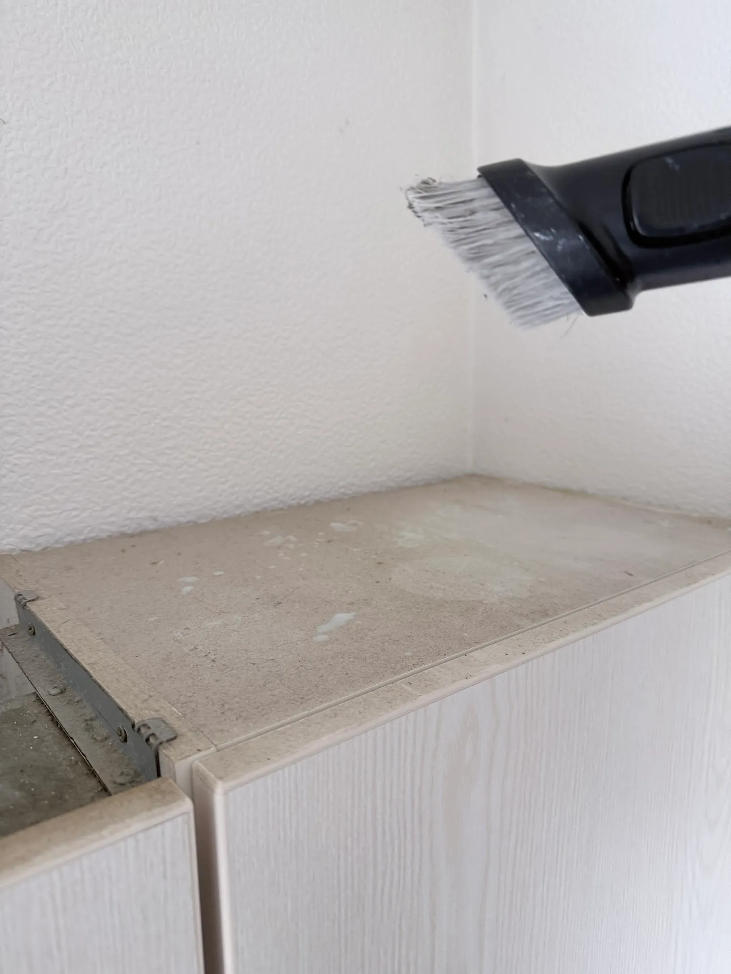 Professionelle Reinigung mit Staubsauger